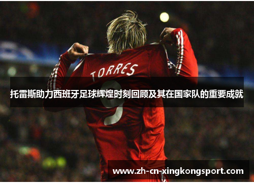 托雷斯助力西班牙足球辉煌时刻回顾及其在国家队的重要成就