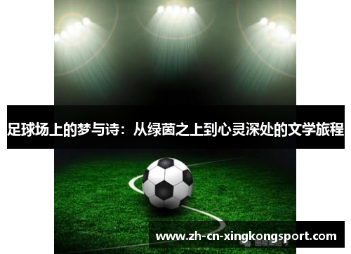 足球场上的梦与诗：从绿茵之上到心灵深处的文学旅程