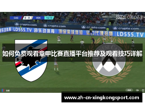 如何免费观看意甲比赛直播平台推荐及观看技巧详解