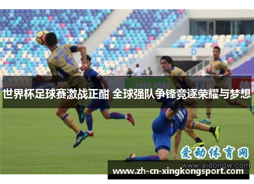 世界杯足球赛激战正酣 全球强队争锋竞逐荣耀与梦想