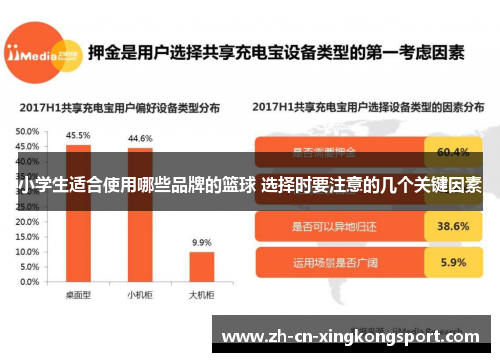小学生适合使用哪些品牌的篮球 选择时要注意的几个关键因素
