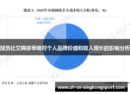 球员社交媒体策略对个人品牌价值和收入增长的影响分析