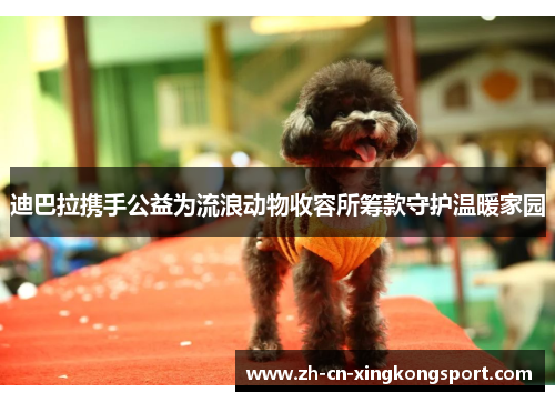 迪巴拉携手公益为流浪动物收容所筹款守护温暖家园