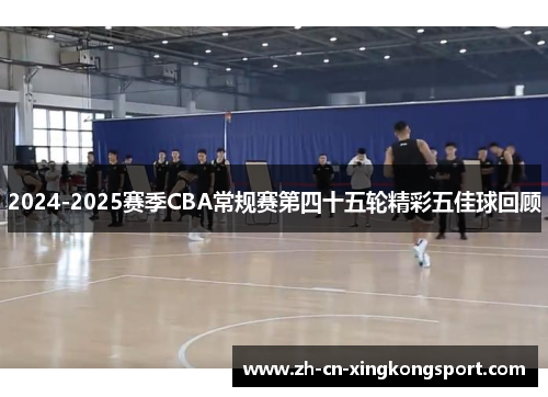 2024-2025赛季CBA常规赛第四十五轮精彩五佳球回顾