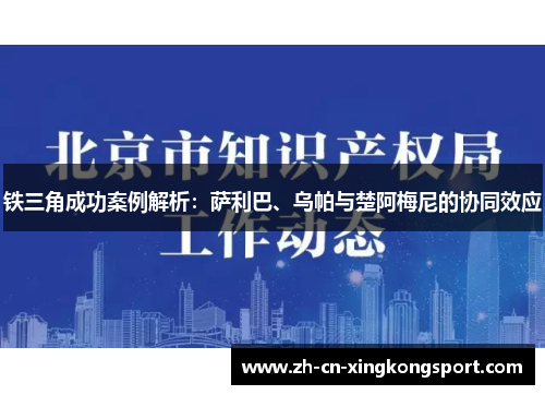 铁三角成功案例解析：萨利巴、乌帕与楚阿梅尼的协同效应