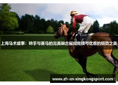 上海马术盛事：骑手与赛马的完美融合展现竞技与优雅的极致之美