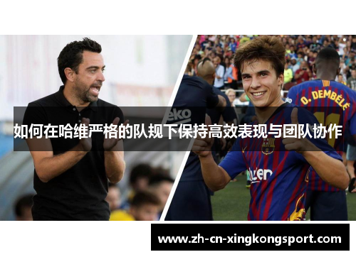 如何在哈维严格的队规下保持高效表现与团队协作