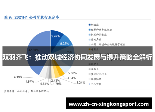 双羽齐飞：推动双城经济协同发展与提升策略全解析