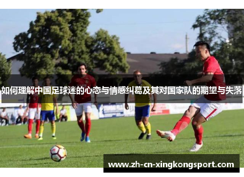 如何理解中国足球迷的心态与情感纠葛及其对国家队的期望与失落
