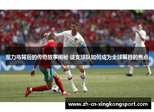 魔力鸟背后的传奇故事揭秘 这支球队如何成为全球瞩目的焦点
