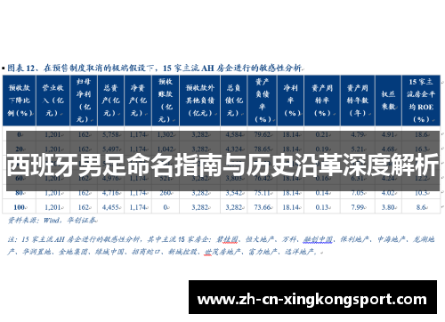 西班牙男足命名指南与历史沿革深度解析