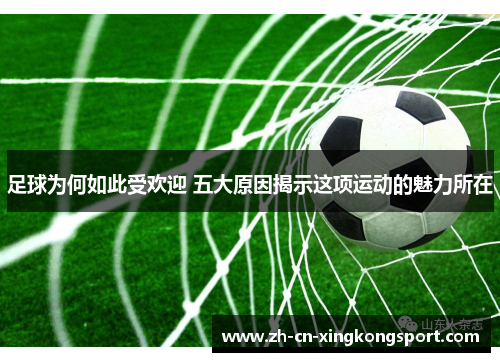 足球为何如此受欢迎 五大原因揭示这项运动的魅力所在