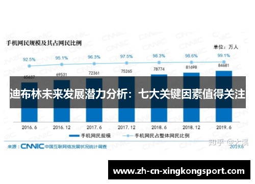 迪布林未来发展潜力分析：七大关键因素值得关注