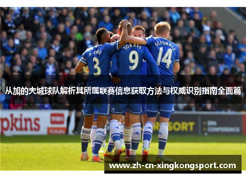 从加的夫城球队解析其所属联赛信息获取方法与权威识别指南全面篇