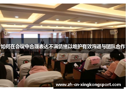 如何在会议中合理表达不满情绪以维护有效沟通与团队合作